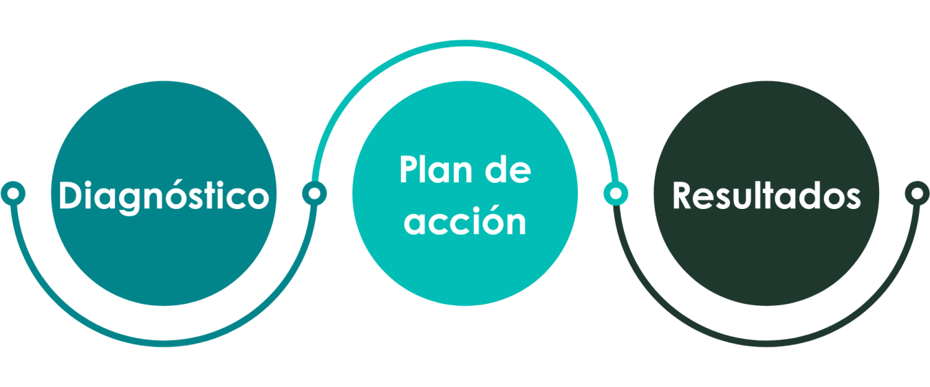 Proceso de mentoría educativa: diagnóstico, acción, resultados